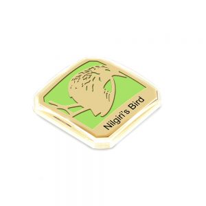 Orchid Nilgirl Bird Right Magnet Souvenir in a Square Shape with a Green Base
