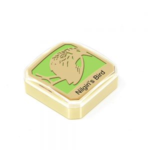 Orchid Nilgiri Bird Right  Paper Weight in a Square Shape With Green Base